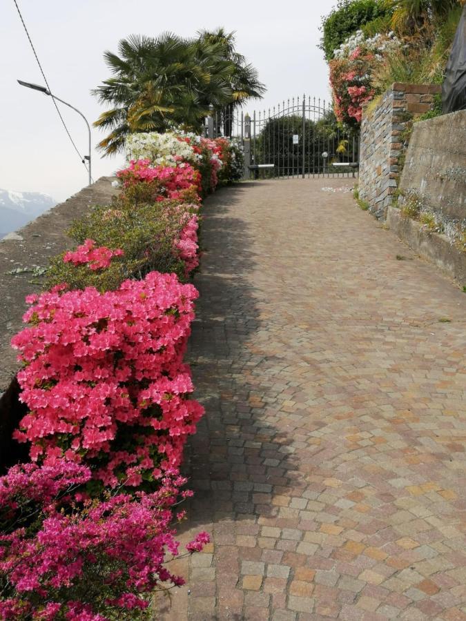 Villetta Primavera 베르바니아 외부 사진