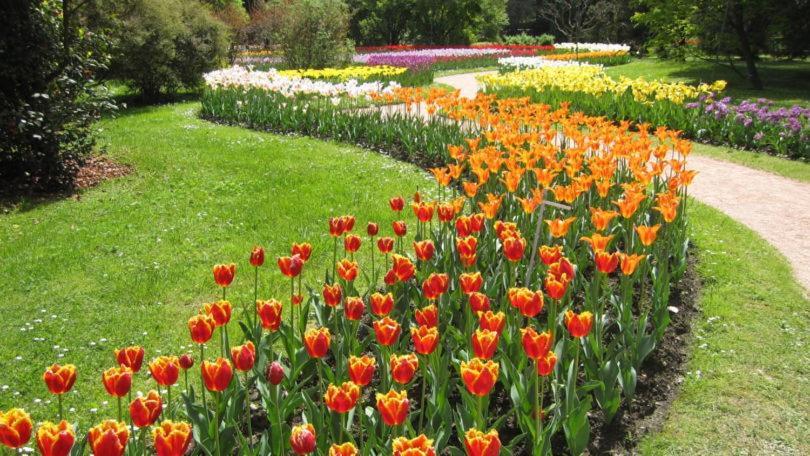 Villetta Primavera 베르바니아 외부 사진